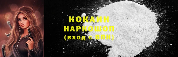 мдпв Каменногорск