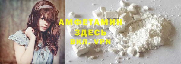 мдпв Каменногорск