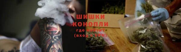 мдпв Каменногорск