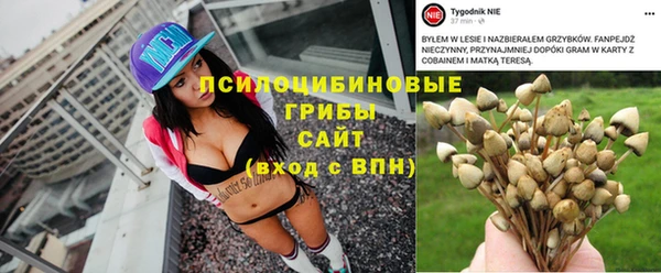 дурь Каменск-Шахтинский