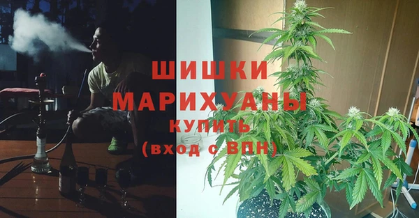 не бодяженный Абаза