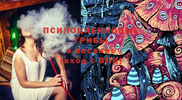 мдпв Каменногорск
