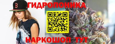 2c-b Гатчина