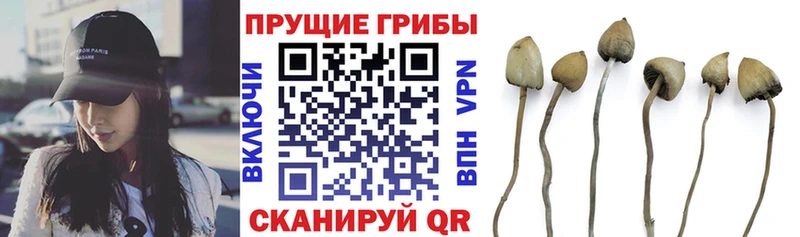 Псилоцибиновые грибы Magic Shrooms  сайты даркнета телеграм  Мытищи  магазин  наркотиков 