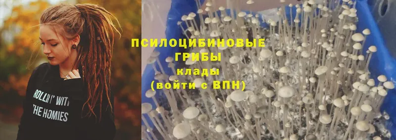 Галлюциногенные грибы ЛСД  Мытищи 