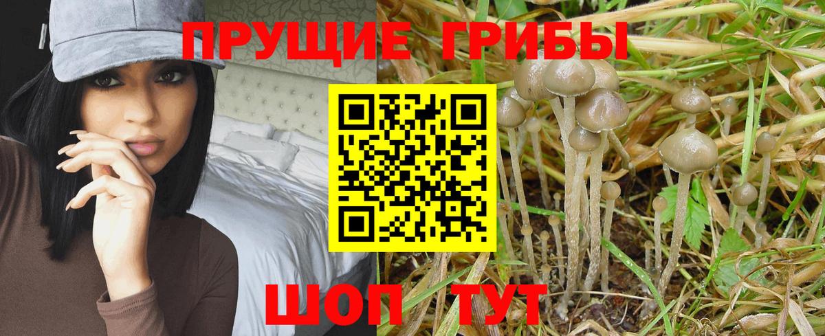 Галлюциногенные грибы Magic Shrooms  Вход с VPN  Мытищи 