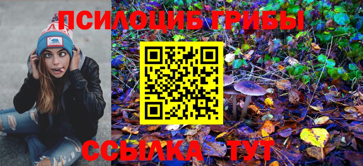 Псилоцибиновые грибы Cubensis Мытищи